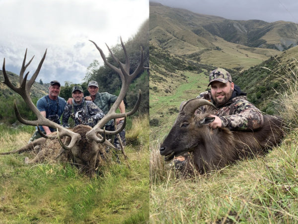 Bull Tahr and Red Stag 350 class New Zealand Bull Tahr and Red Stag Hunt Five Days