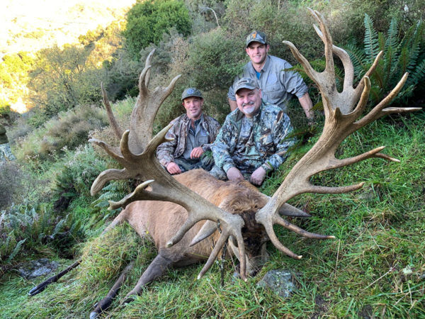 Gold Class Red Stag Hunting