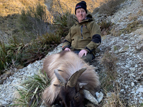 New Zealand Bull Tahr Trophy Hunt