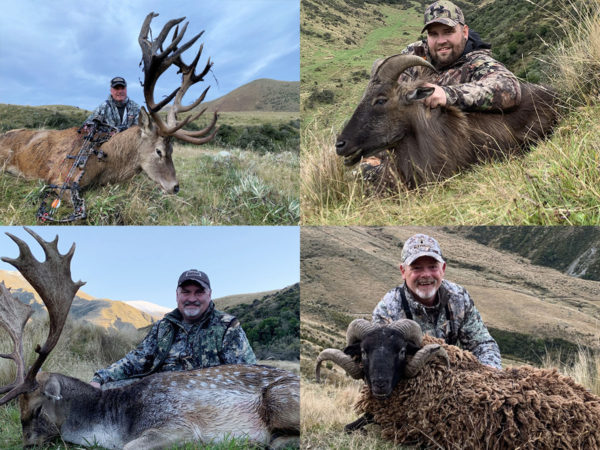 New Zealand Red Stag Bull Tahr Fallow Buck Arapawa Ram Trophy Hunt