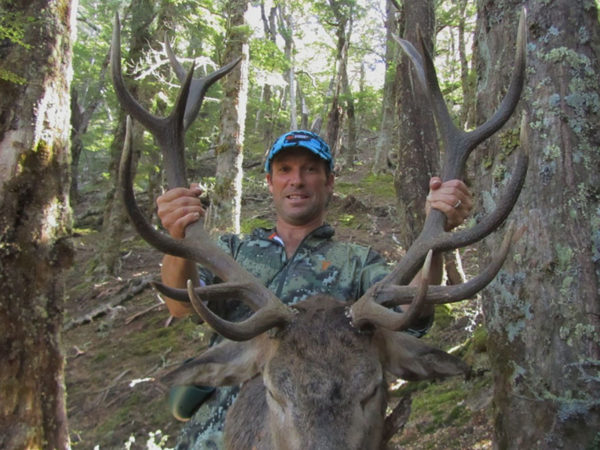 New Zealand Red Stag Trophy Hunt 300 Class